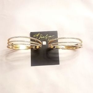 Sophisticated Hoop earrings